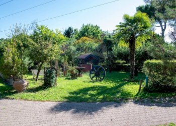 Giardino - Villa Via Giotto 8, Agrate Conturbia - foto 44