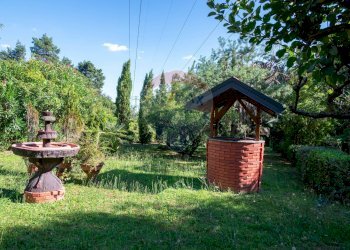 Giardino - Villa Via Giotto 8, Agrate Conturbia - foto 45