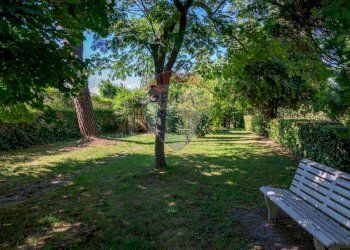 Giardino - Villa Via Giotto 8, Agrate Conturbia - foto 48