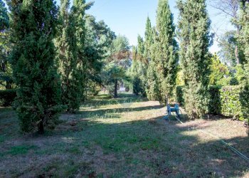 Giardino - Villa Via Giotto 8, Agrate Conturbia - foto 50