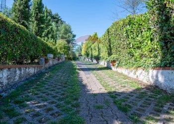 Giardino - Villa Via Giotto 8, Agrate Conturbia - foto 51