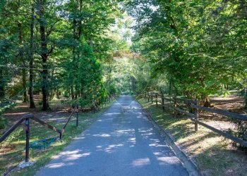 Giardino - Villa Via Giotto 8, Agrate Conturbia - foto 53