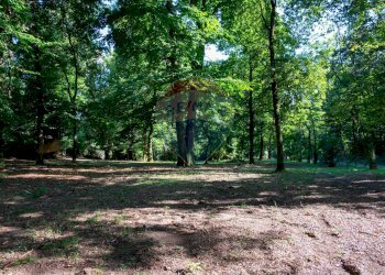 Giardino - Villa Via Giotto 8, Agrate Conturbia - foto 57