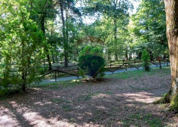 Giardino - Villa Via Giotto 8, Agrate Conturbia - foto 58