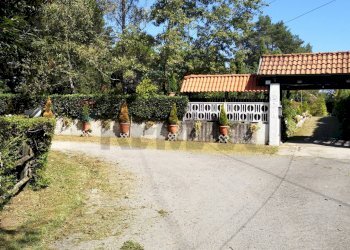 Giardino - Villa Via Giotto 8, Agrate Conturbia - foto 6