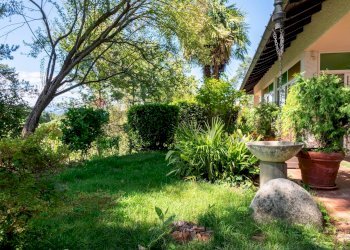 Giardino - Villa Via Giotto 8, Agrate Conturbia - foto 9