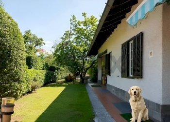 Giardino - Villa Via Giotto 8, Agrate Conturbia - foto 10