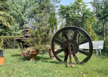 Giardino - Villa Via Giotto 8, Agrate Conturbia - foto 32