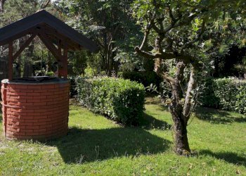 Giardino - Villa Via Giotto 8, Agrate Conturbia - foto 33