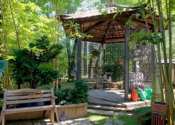 Giardino - Villa Via Giotto 8, Agrate Conturbia - foto 35