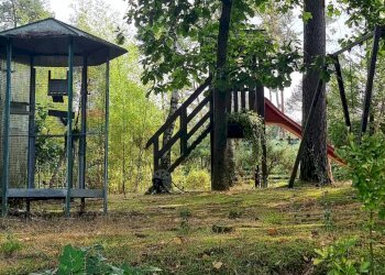 Giardino - Villa Via Giotto 8, Agrate Conturbia - foto 39