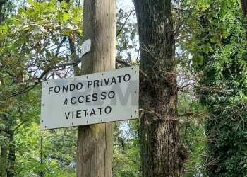 Non correlato - Villa Via Giotto 8, Agrate Conturbia - foto 46