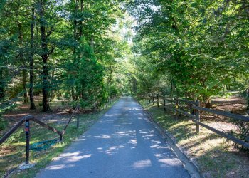 Giardino - Villa Via Giotto 8, Agrate Conturbia - foto 47