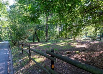 Giardino - Villa Via Giotto 8, Agrate Conturbia - foto 48