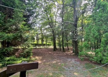 Giardino - Villa Via Giotto 8, Agrate Conturbia - foto 49