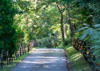 Giardino - Villa Via Giotto 8, Agrate Conturbia - foto 50