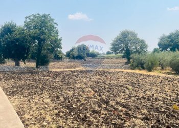 Giardino - Villa Pozzo Cassero - Sp 28
 
snc, Modica - foto 19