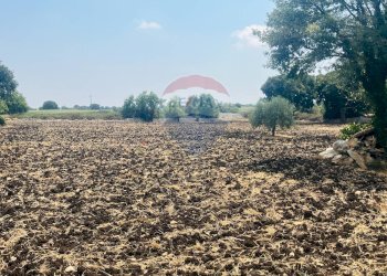 Non correlato - Villa Pozzo Cassero - Sp 28
 
snc, Modica - foto 34