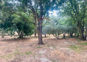 Giardino - Villa Pozzo Cassero - Sp 28
 
snc, Modica - foto 35