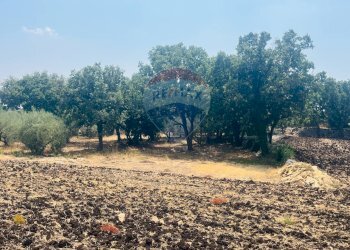 Giardino - Villa Pozzo Cassero - Sp 28
 
snc, Modica - foto 37