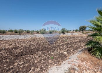 Giardino - Villa Pozzo Cassero - Sp 28
 
snc, Modica - foto 78
