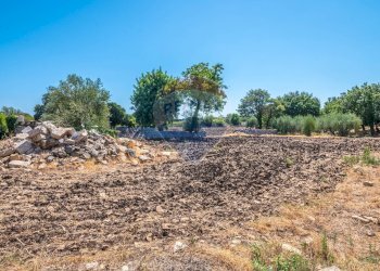 Non correlato - Villa Pozzo Cassero - Sp 28
 
snc, Modica - foto 85