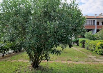 Foto 20 - Villa a Schiera Via Sandro Botticelli
 
7B, Comacchio - foto 20