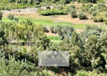 Foto 27 - Bilocale Castellaro Golf Resort, Castellaro - foto 27