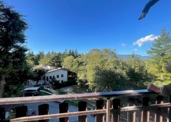 Trilocale Piglio - foto 14