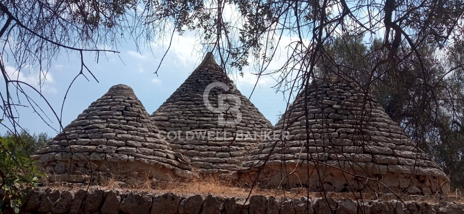 Foto 3 - Baita Contrada Sardella
 
snc, San Michele Salentino - foto 3