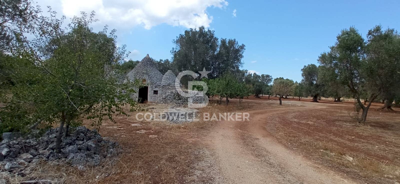 Foto 1 - Baita Contrada Sardella
 
snc, San Michele Salentino - foto 1