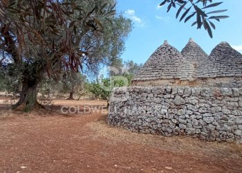 Foto 2 - Baita Contrada Sardella
 
snc, San Michele Salentino - foto 2