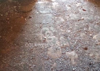 Foto 8 - Baita Contrada Sardella
 
snc, San Michele Salentino - foto 8