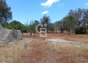 Foto 25 - Baita Contrada Sardella
 
snc, San Michele Salentino - foto 25