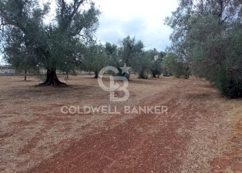 Foto 26 - Baita Contrada Sardella
 
snc, San Michele Salentino - foto 26