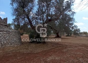 Foto 35 - Baita Contrada Sardella
 
snc, San Michele Salentino - foto 35