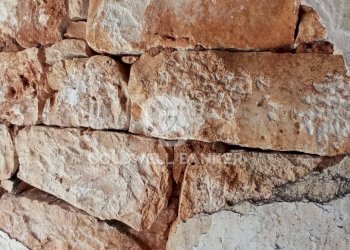 Foto 58 - Baita Contrada Sardella
 
snc, San Michele Salentino - foto 58