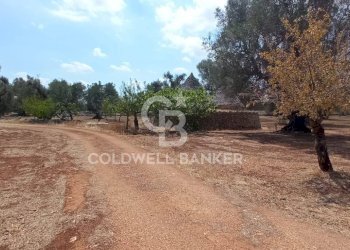 Foto 64 - Baita Contrada Sardella
 
snc, San Michele Salentino - foto 64