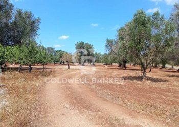 Foto 67 - Baita Contrada Sardella
 
snc, San Michele Salentino - foto 67