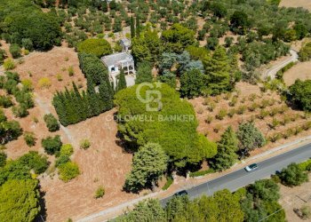 Foto 3 - Villa Contrada Peraro
 
sn, Ostuni - foto 3