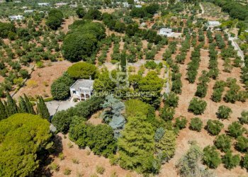 Foto 4 - Villa Contrada Peraro
 
sn, Ostuni - foto 4