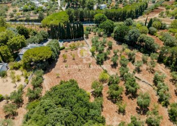 Foto 6 - Villa Contrada Peraro
 
sn, Ostuni - foto 6