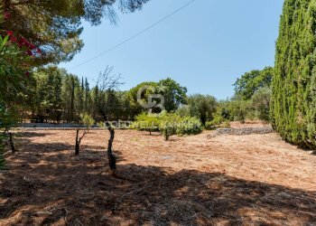 Foto 25 - Villa Contrada Peraro
 
sn, Ostuni - foto 25