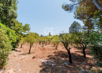 Foto 26 - Villa Contrada Peraro
 
sn, Ostuni - foto 26