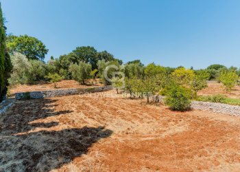 Foto 30 - Villa Contrada Peraro
 
sn, Ostuni - foto 30