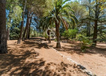 Foto 35 - Villa Contrada Peraro
 
sn, Ostuni - foto 35