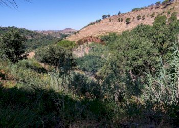 Vista delle montagne - Rustico Contrada Piazza Vecchia
 
snc, Piazza Armerina - foto 11