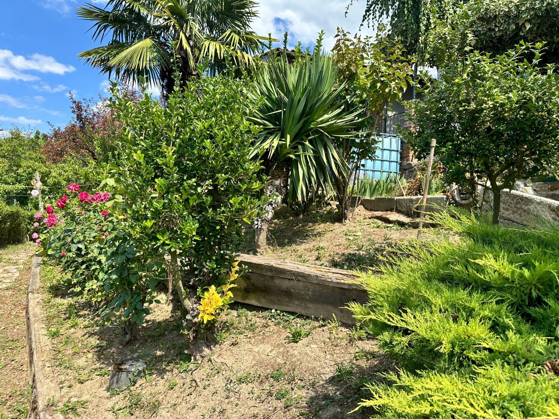 giardino esclusivo - Casa indipendente Piazza Castello
14, Cigliè - foto 3