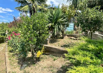 giardino esclusivo - Independent house Piazza Castello
 
14, Cigliè - photo 3