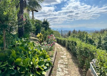 giardino esclusivo - Independent house Piazza Castello
 
14, Cigliè - photo 24